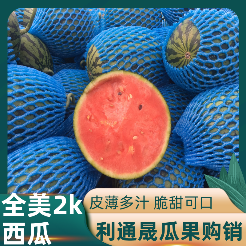 小糖丸-山东全美2K西瓜大量上市供应各大商超/电商平台