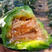 欧雅甜9号薄皮甜瓜种籽酥脆甜香瓜种子孑春秋蜜瓜种子原装