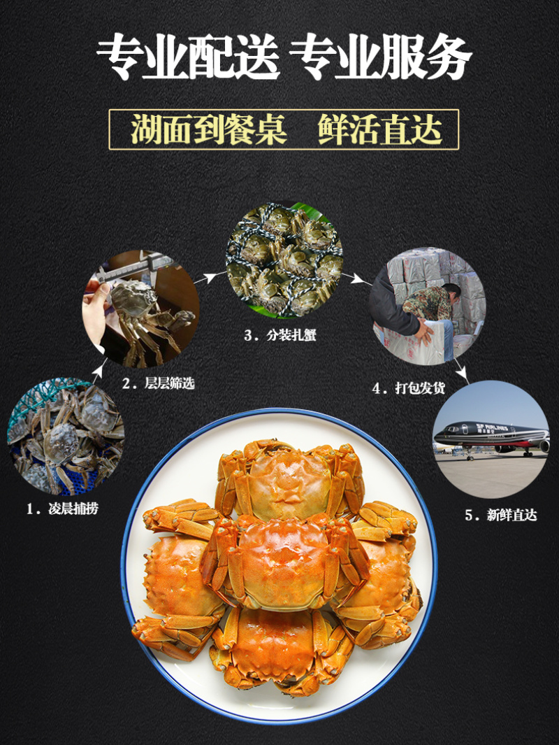 【推荐】大闸蟹一件代发、供应各大水产批发市场，海鲜零售店