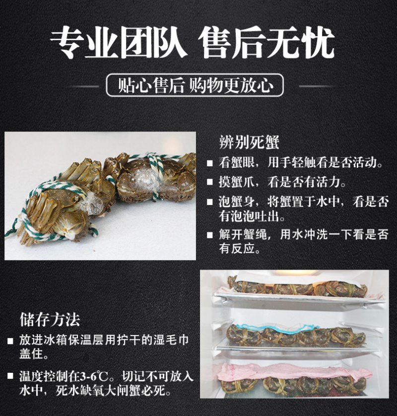 【推荐】大闸蟹一件代发、供应各大水产批发市场，海鲜零售店
