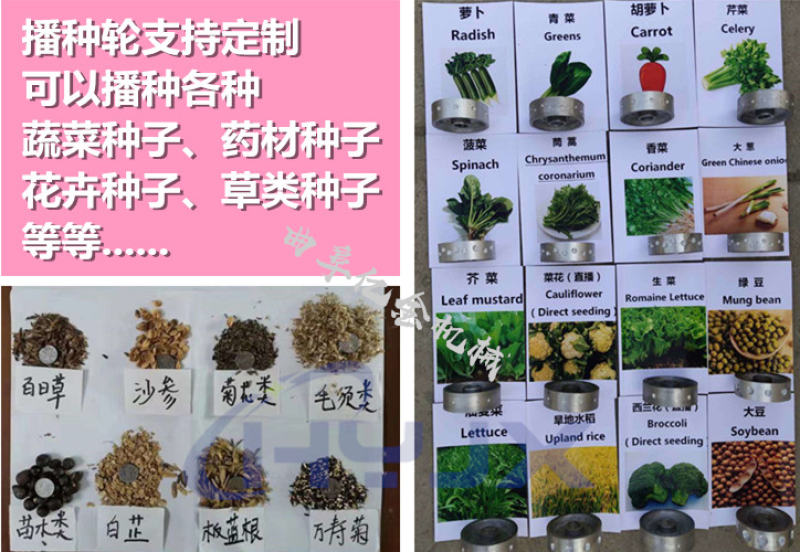 谷物蔬菜播种机甜菜白花菜多行精播机拖拉机悬挂起垄绳播机