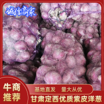 精品紫皮洋葱大量上市品质保证，一手货源，欢迎来电选购