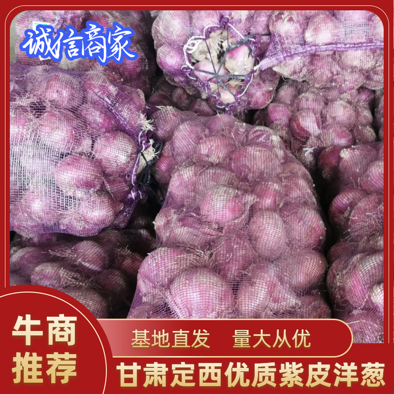 精品紫皮洋葱大量上市品质保证，一手货源，欢迎来电选购