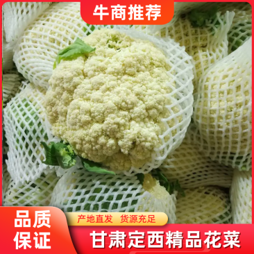 甘肃精品花菜大量上市产地直销，价格便宜欢迎前来选购