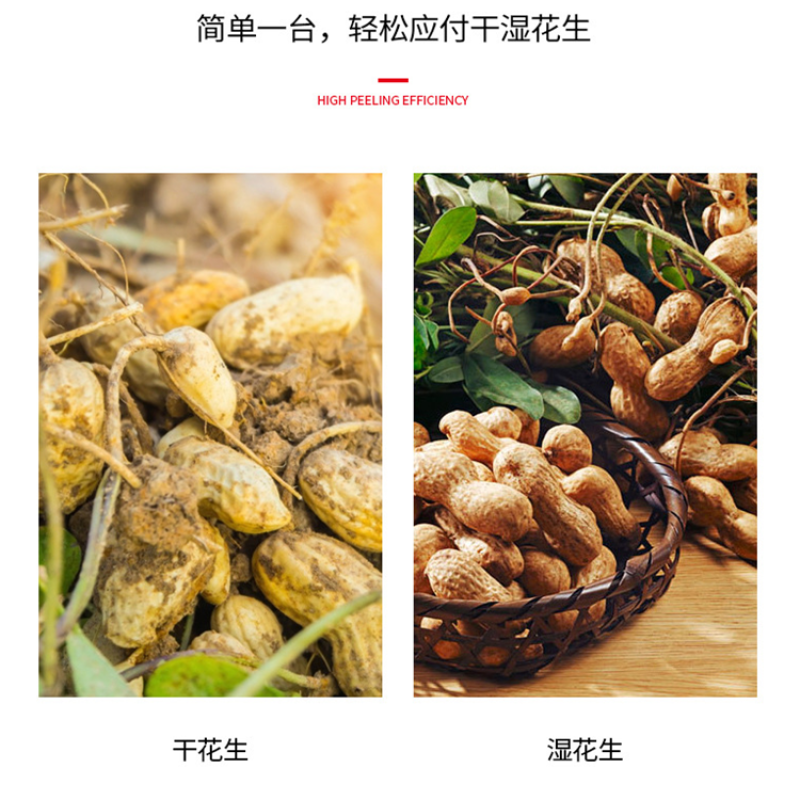生产厂家自动进料花生秧果分离机鲜花生摘果机干湿两用