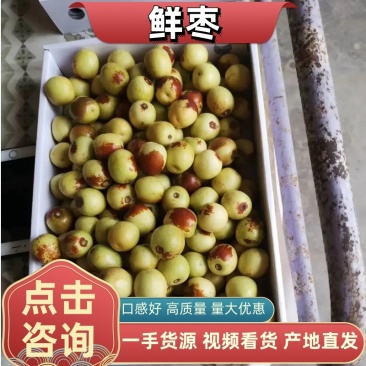 冬枣陕西温棚冬枣钢架棚冬枣露天冬枣直发，可视频看货