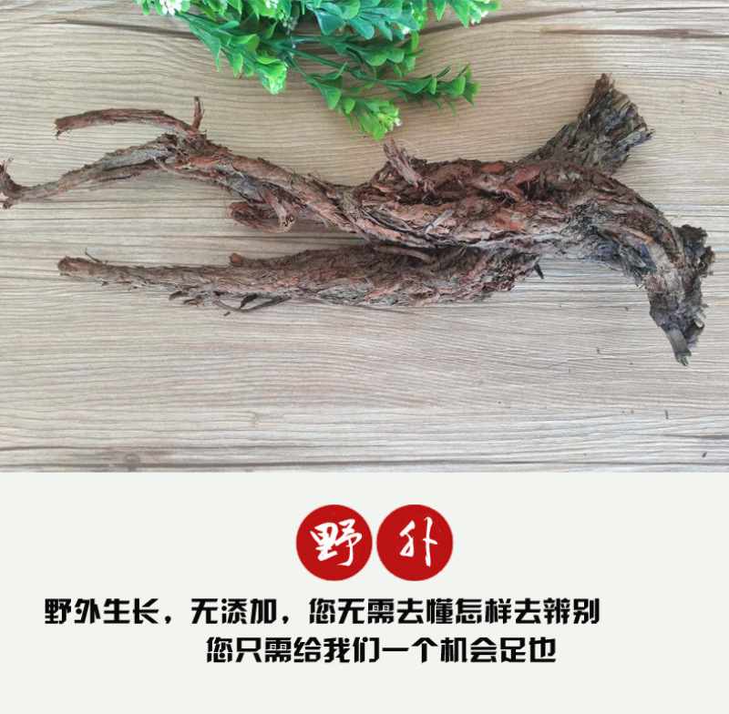 丹参野生甘肃药材多年生长紫丹参500克量大从优可打粉