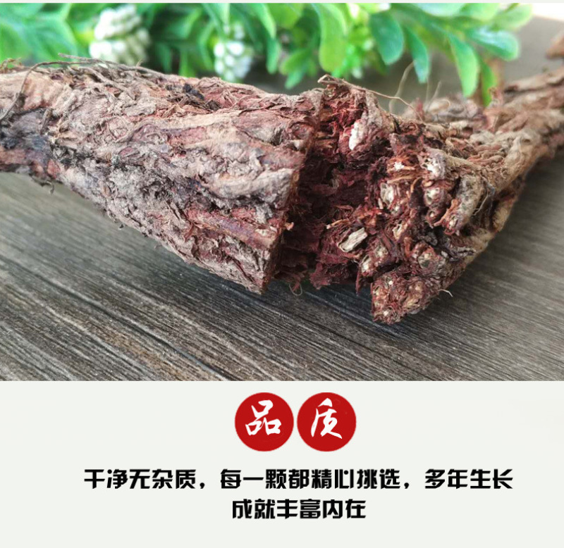 丹参野生甘肃药材多年生长紫丹参500克量大从优可打粉