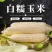 【优质】白糯玉米，花糯玉米上市中，支持整车供应，全国发货