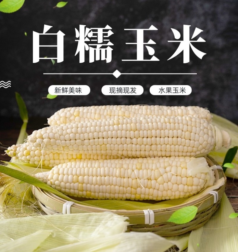 【优质】白糯玉米，花糯玉米上市中，支持整车供应，全国发货