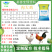 肉鸡预混料长肉快羽毛亮鸡冠红缩短养殖时间出栏早增加肉鸡利