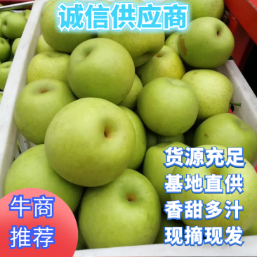 【热卖中】砀山翠玉梨、肉质细腻、个头均匀、量大从优、现摘现发