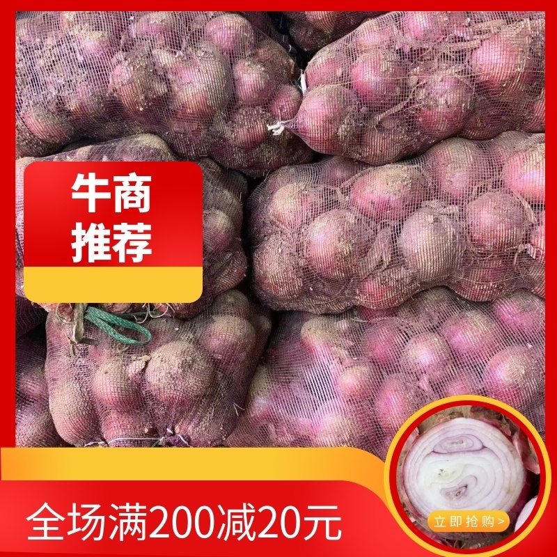 山西太谷，优质红皮洋葱，大量上市中，全部80以上