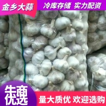 【冷库出租专业储存金乡大蒜代收代存实力配资行情分析及加工