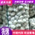 专业储存金乡大蒜！专业代收！冷库出租实力配资诚信合作