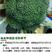 雅绿3号秋季耐寒西兰花种子中熟偏晚青花菜品种