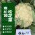 雅松70秋季青梗松花菜品种圆整厚实花梗嫩绿米粒细