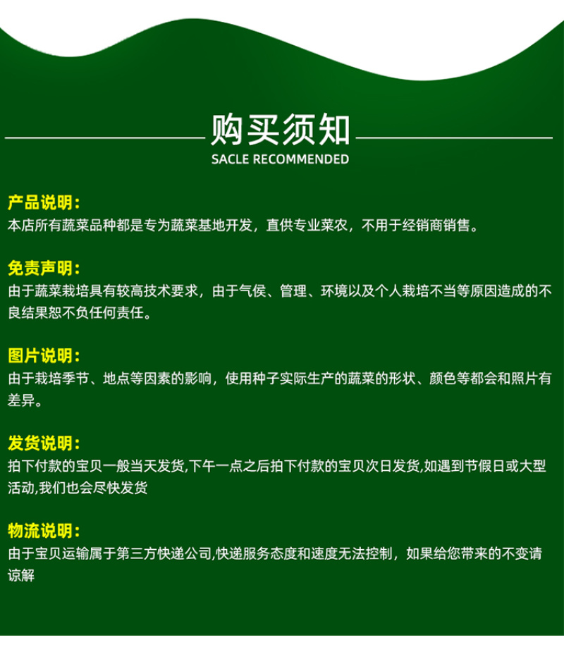 大黑欧雅黑翡翠薄皮辣椒种子北方秋季南方秋冬种植