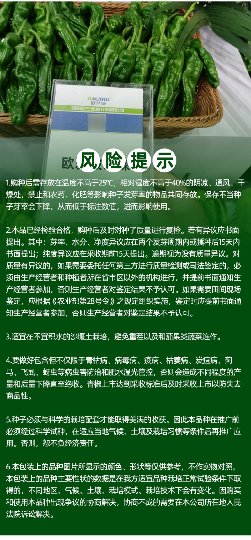 欧雅皱皱辣早熟深绿青果辣椒种子皮薄肉脆辣味浓