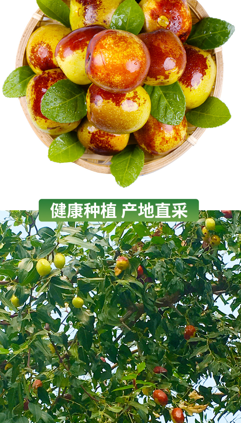 陕西大荔冬枣5斤水果新鲜当季整箱时令现季包邮枣子脆枣鲜枣
