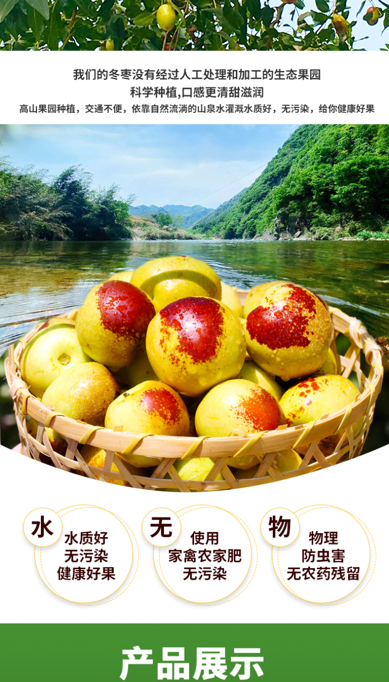 陕西大荔冬枣5斤水果新鲜当季整箱时令现季包邮枣子脆枣鲜枣