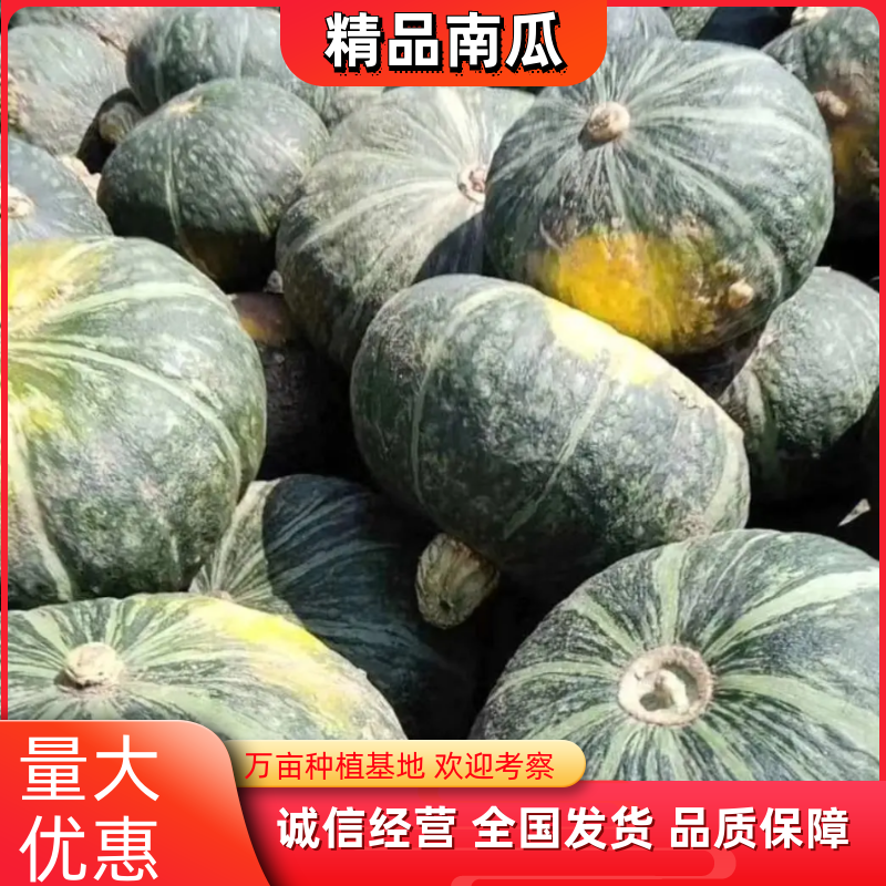 吉林南瓜大量上市，产地直供，货源充足，有需要联系我