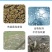 水产养殖专用净化改善水质植物消毒澡类增多养鱼虾蟹