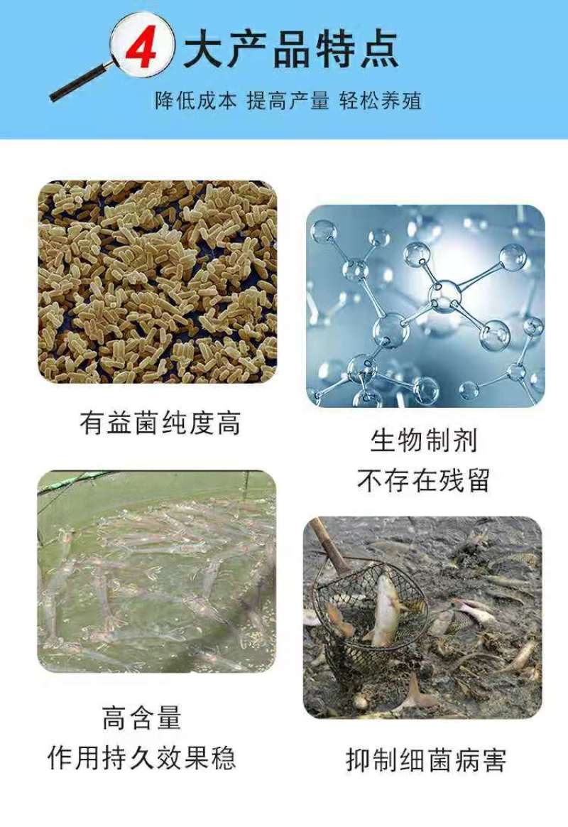 水产养殖专用净化改善水质植物消毒澡类增多养鱼虾蟹