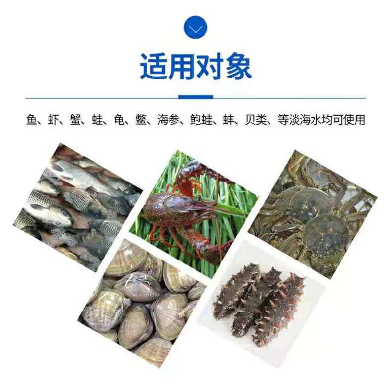水产养殖专用净化改善水质植物消毒澡类增多养鱼虾蟹