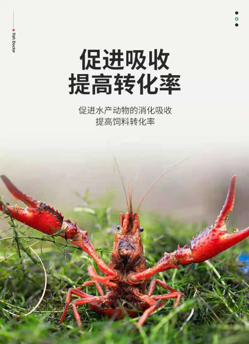 水产养殖专用净化改善水质植物消毒澡类增多养鱼虾蟹