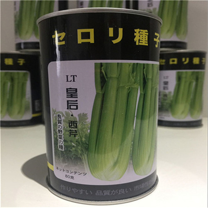 皇后西芹种子口感好纯度高日本皇后西芹菜好种植耐寒抗病四季