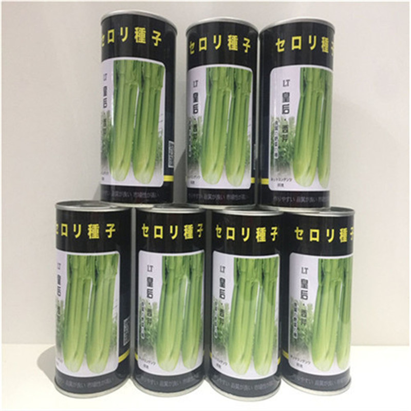 皇后西芹种子口感好纯度高日本皇后西芹菜好种植耐寒抗病四季