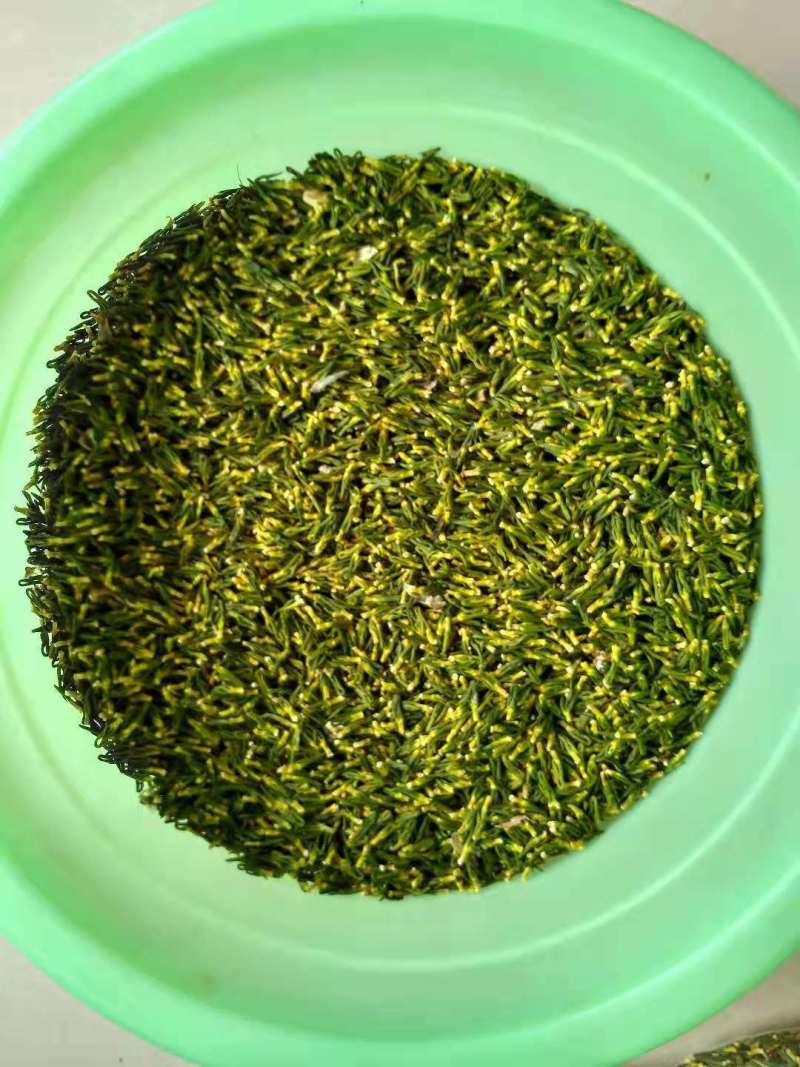 莲子心新货茶去火清心泡水莲芯非特级莲子芯莲心茶天然连子心