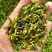 莲子心新货茶去火清心泡水莲芯非特级莲子芯莲心茶天然连子心