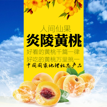 京东包邮~湖南炎陵黄桃，中村乡核心区精品果