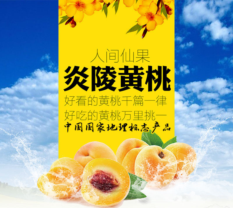 京东包邮~湖南炎陵黄桃，中村乡核心区精品果