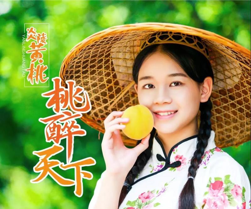 京东包邮~湖南炎陵黄桃，中村乡核心区精品果