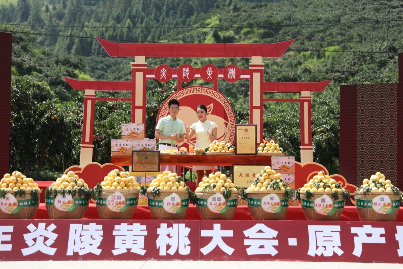 京东包邮~湖南炎陵黄桃，中村乡核心区精品果