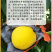 京东包邮~湖南炎陵黄桃，中村乡核心区精品果