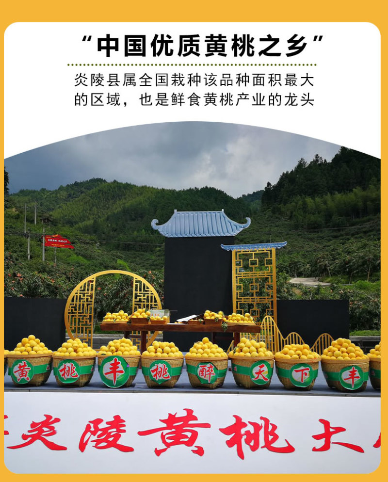 京东包邮~湖南炎陵黄桃，中村乡核心区精品果