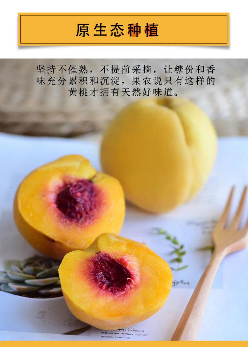 京东包邮~湖南炎陵黄桃，中村乡核心区精品果