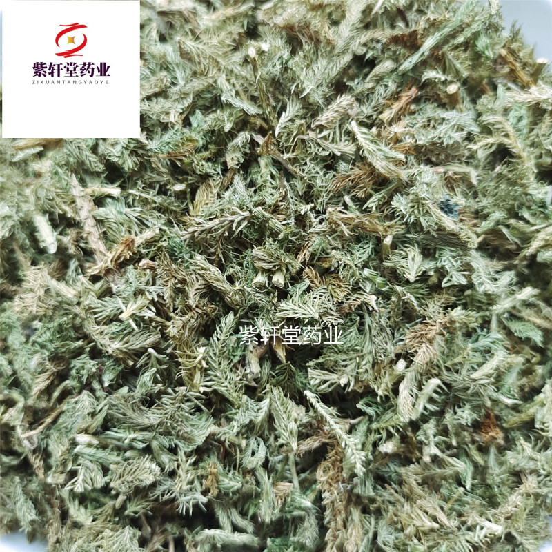 伸筋草伸筋草颜色绿药味浓新货选货产地云南省