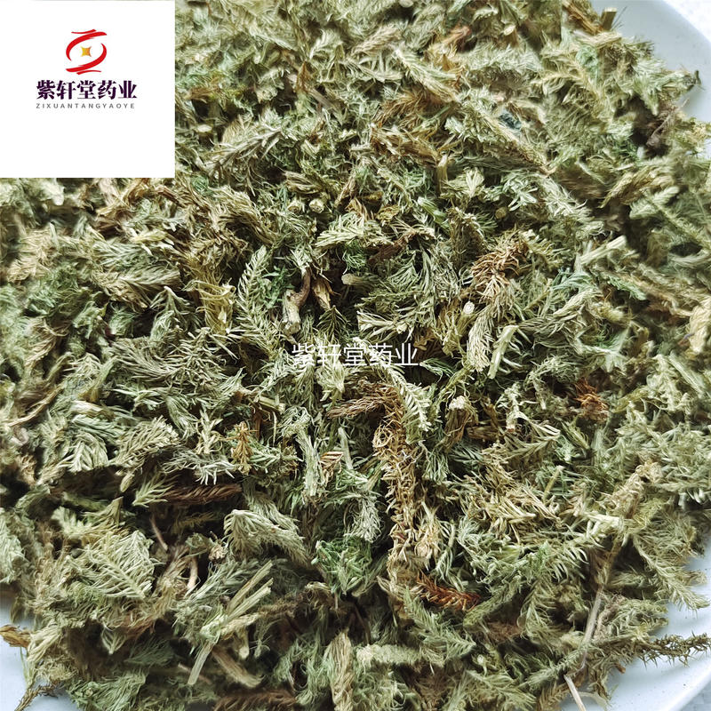 伸筋草伸筋草颜色绿药味浓新货选货产地云南省