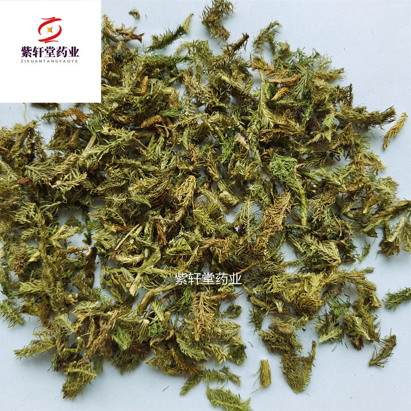 伸筋草伸筋草颜色绿药味浓新货选货产地云南省