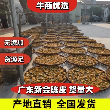 新会陈皮有新皮旧皮***产地直销要大货电议