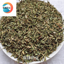 萹蓄扁蓄今年新货绿色颜色好实物拍摄产地山东省