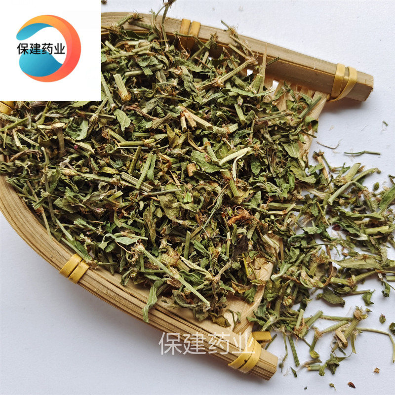 萹蓄扁蓄今年新货绿色颜色好实物拍摄产地山东省