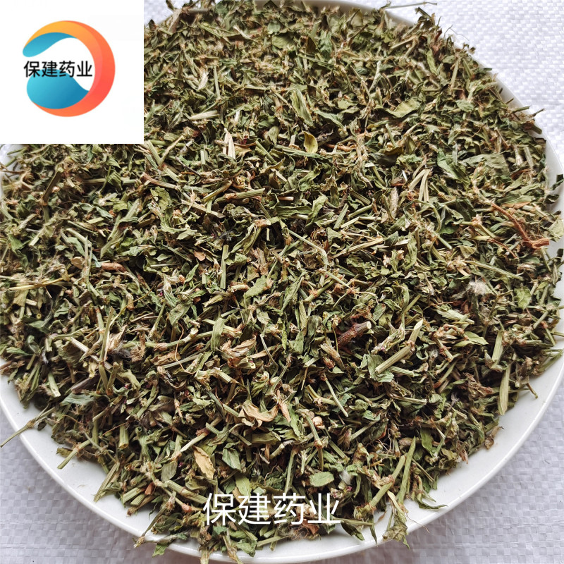 萹蓄扁蓄今年新货绿色颜色好实物拍摄产地山东省