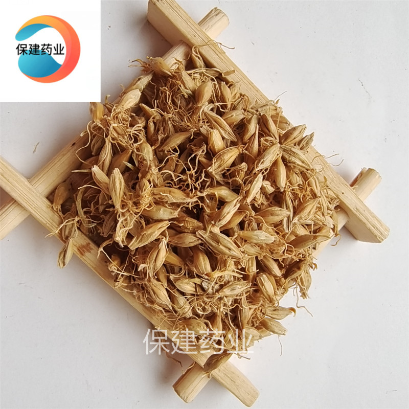 麦芽炒麦芽个个有芽为冲销量低价售量大价格再优惠