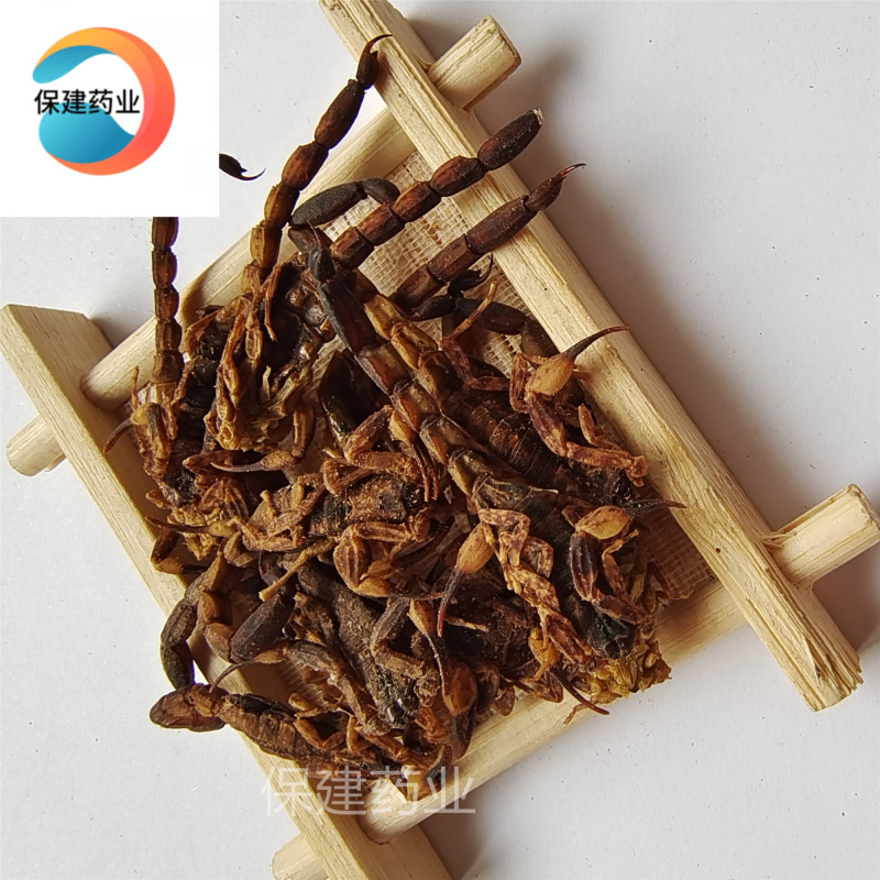 全蝎山西陕西清水全蝎秋货产地进口清水全蝎